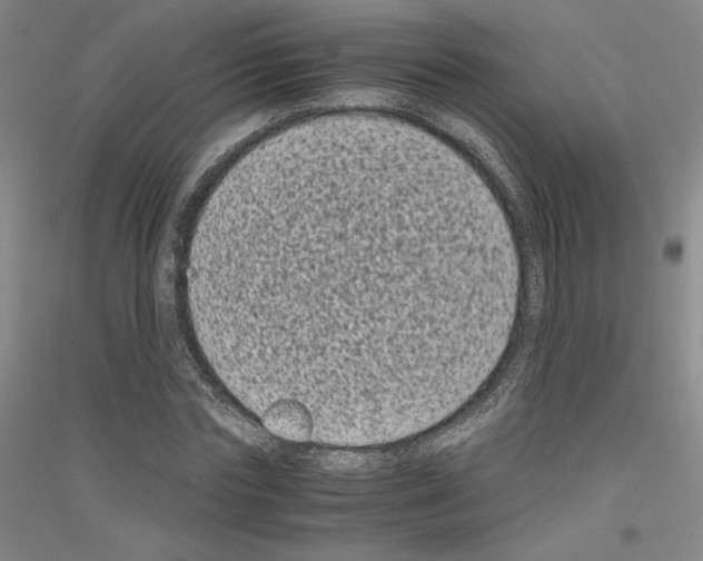 X0000116780827201001281120