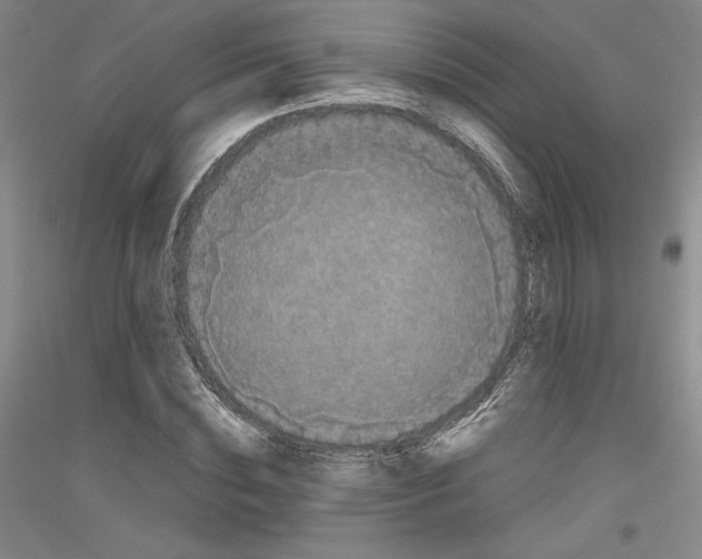 X0000116780828201001281120