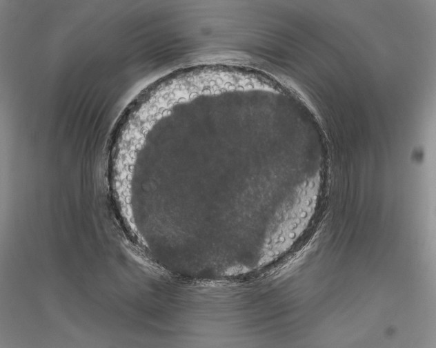 X0000116780830201001281120