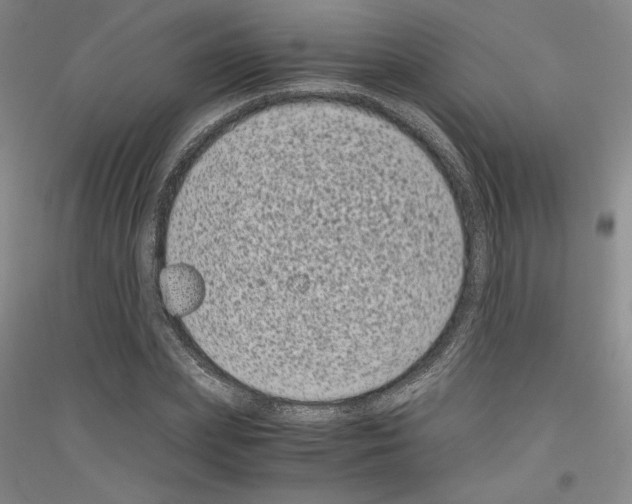 X0000116780831201001281120