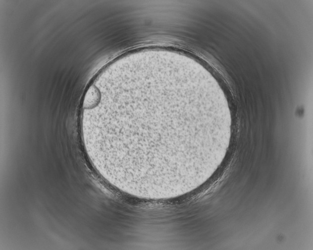 X0000116780834201001281120