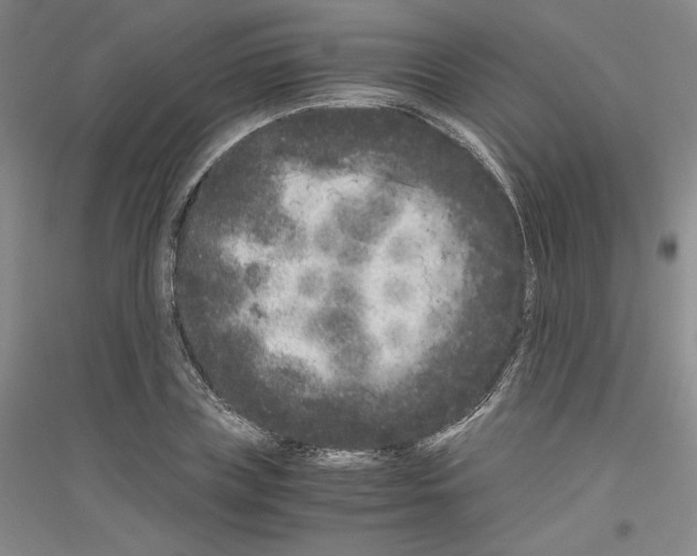 X0000116780835201001281120