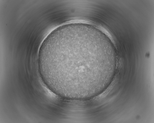 X0000116780836201001281120