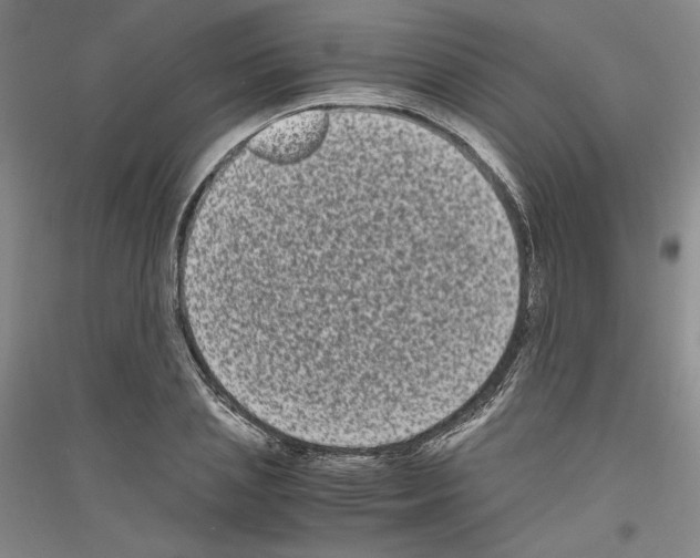 X0000116780837201001281120