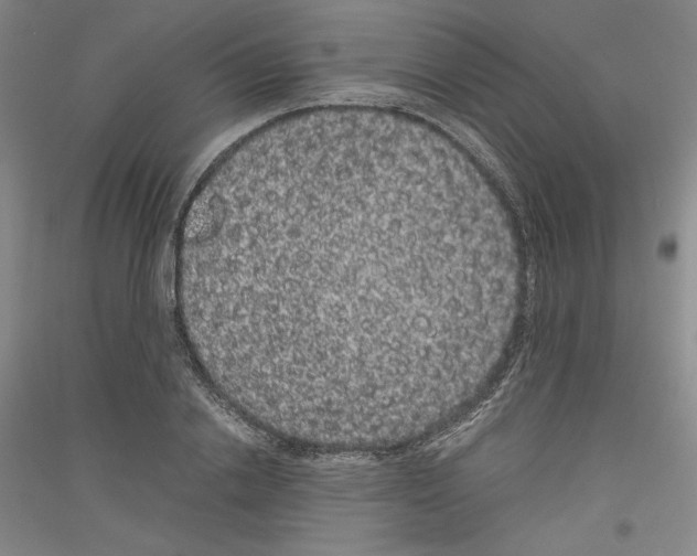 X0000116780838201001281120