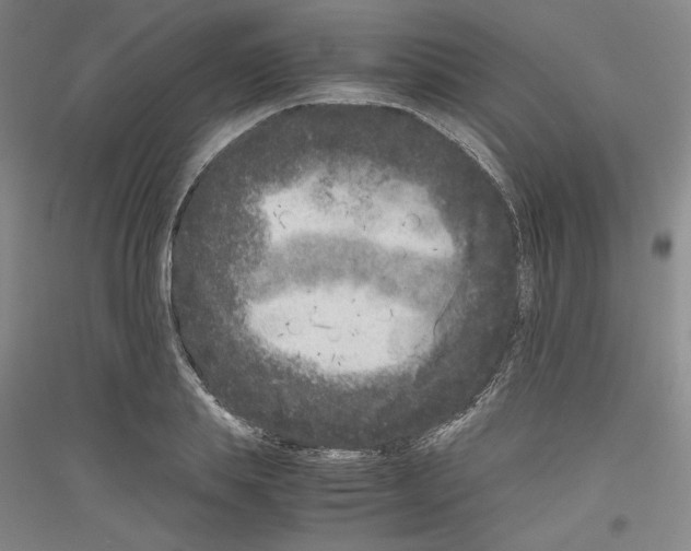 X0000116780839201001281120