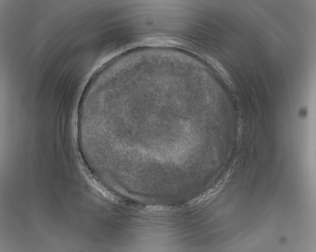 X0000116780840201001281120