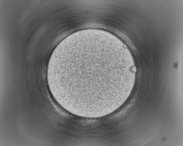 X0000116780841201001281120