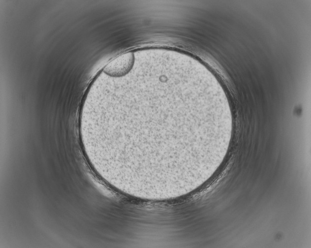 X0000116780842201001281120