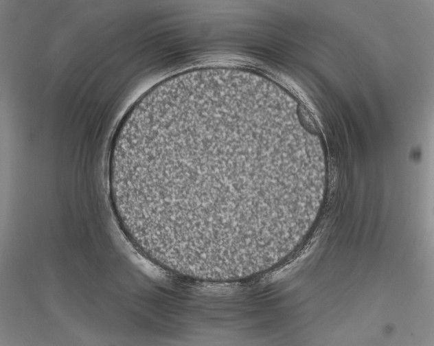 X0000116780843201001281120