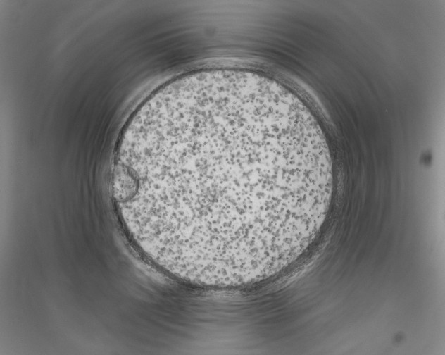 X0000116780844201001281120