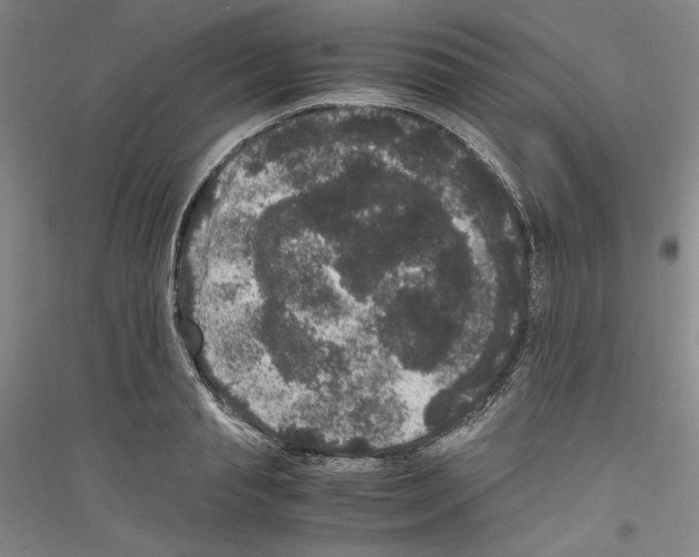 X0000116780845201001281120