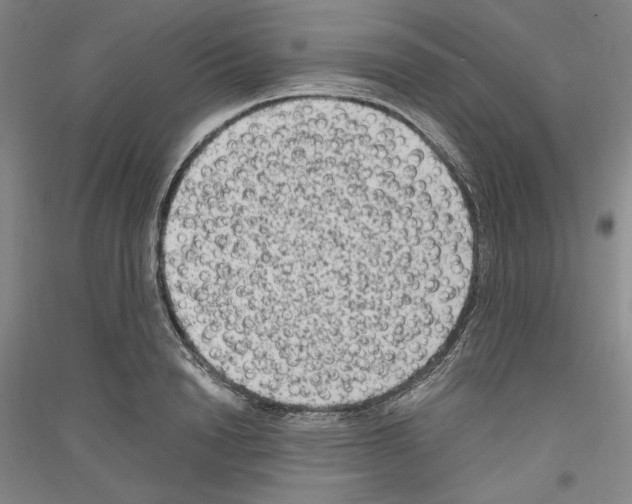 X0000116780846201001281120