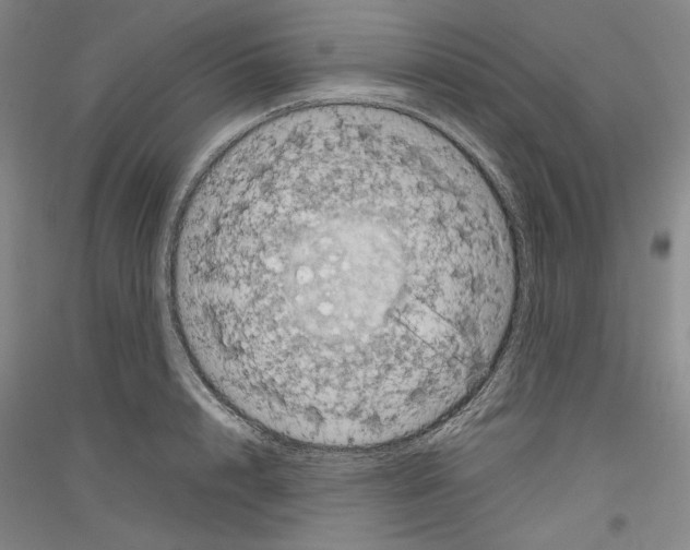 X0000116780848201001281120