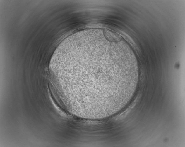 X0000116780849201001281120