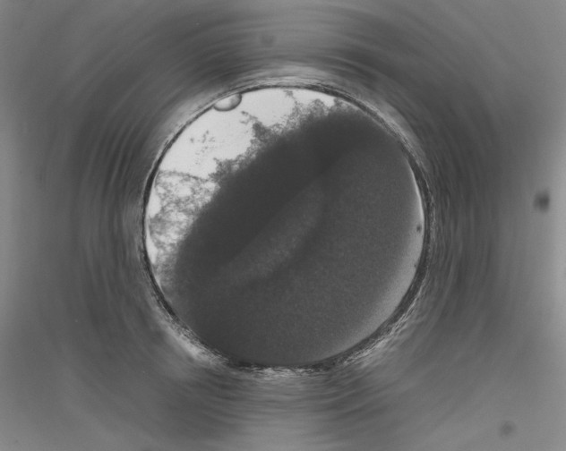 X0000116780850201001281120