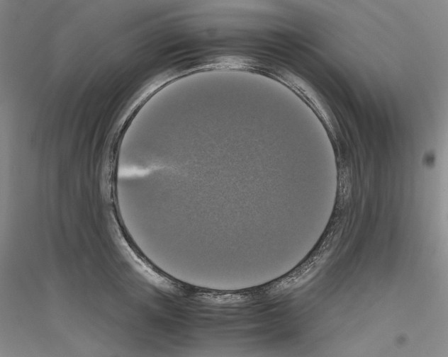 X0000116780851201001281120