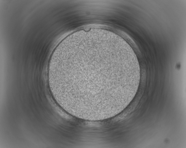 X0000116780852201001281120