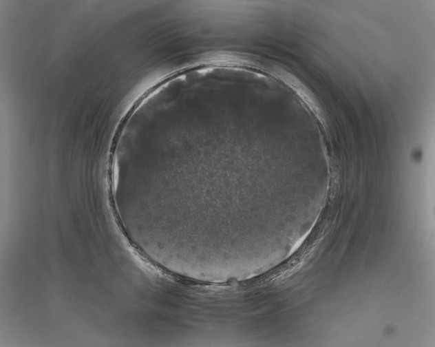 X0000116780853201001281120