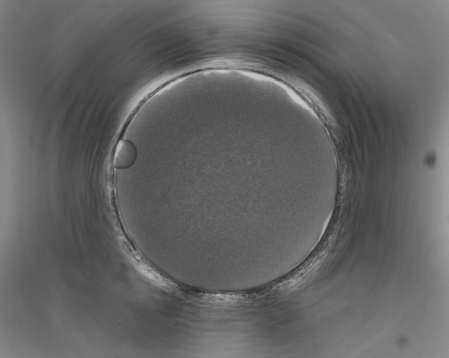 X0000116780854201001281120