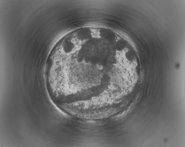 X0000116780855201001281120