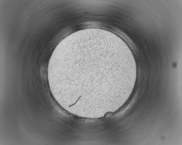 X0000116780857201001281120