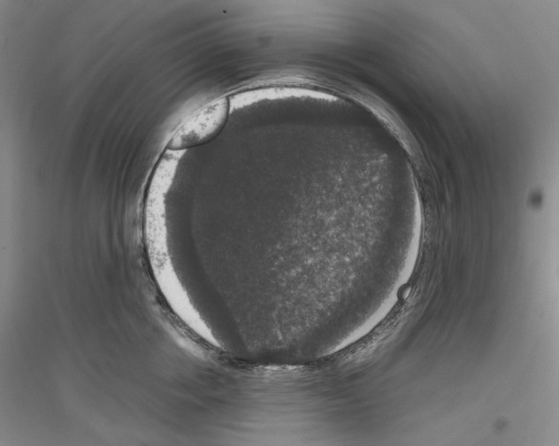 X0000116780858201001281120