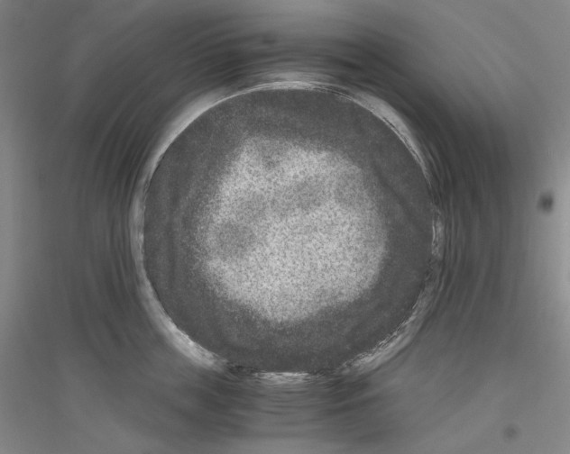 X0000116780859201001281120