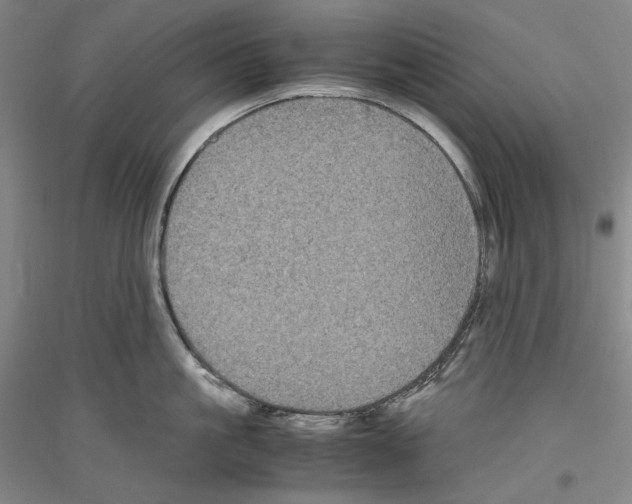 X0000116780861201001281120