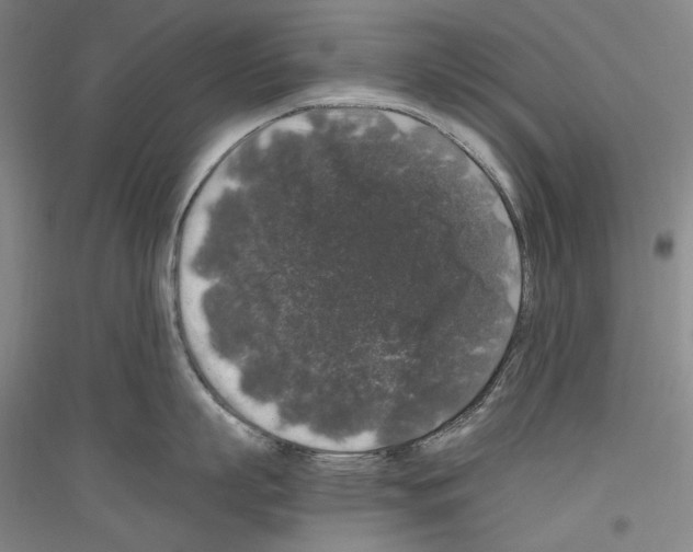 X0000116780863201001281120