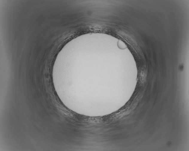 X0000116780865201001281119