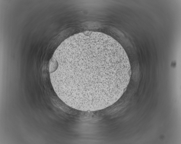 X0000116780866201001281119