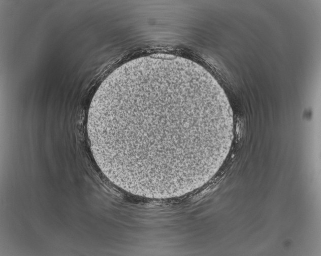 X0000116780867201001281119