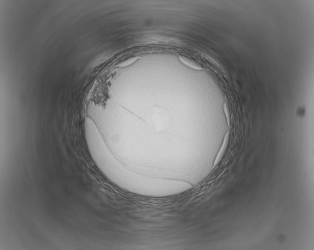 X0000116780869201001281119