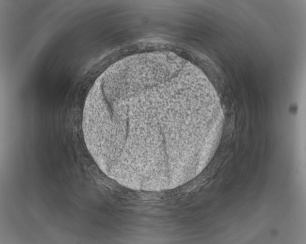 X0000116780870201001281119