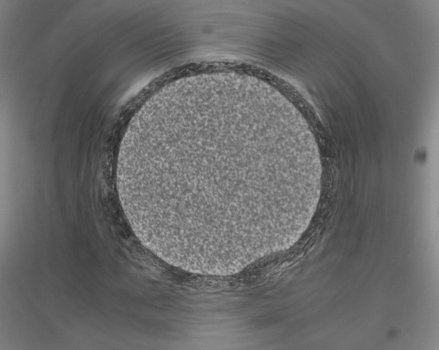 X0000116780871201001281119