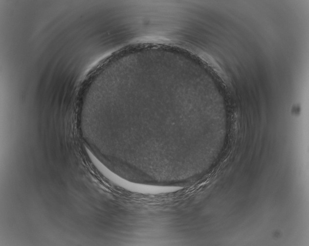 X0000116780872201001281119