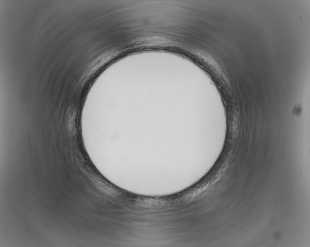 X0000116780873201001281119