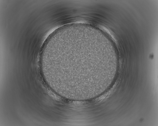 X0000116780875201001281119