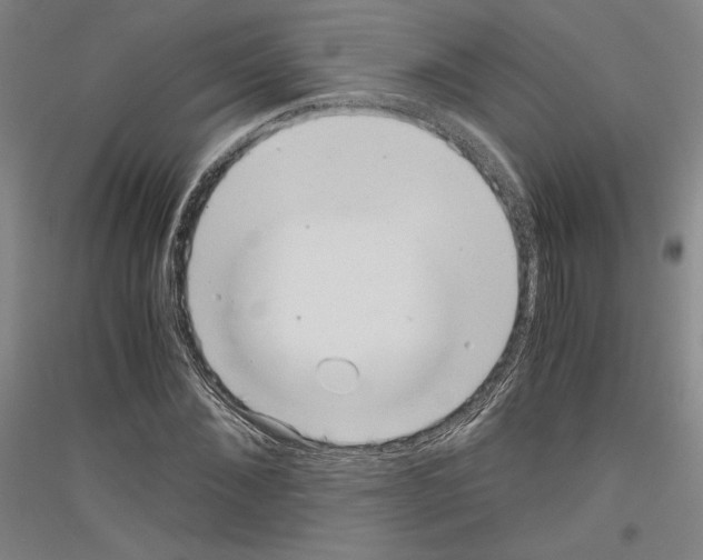 X0000116780876201001281119