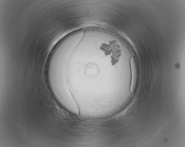 X0000116780877201001281119