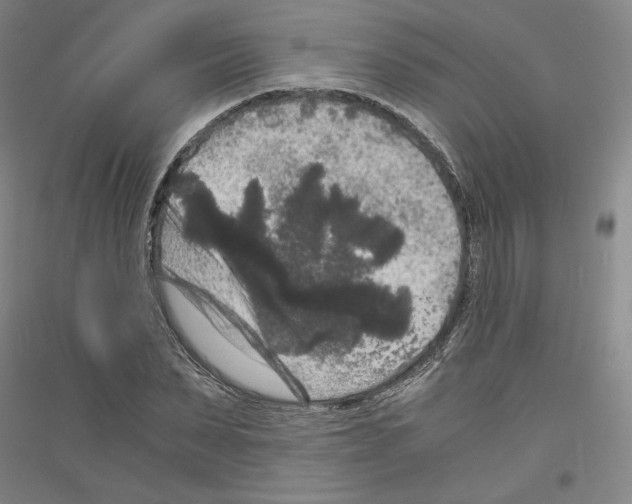 X0000116780879201001281119