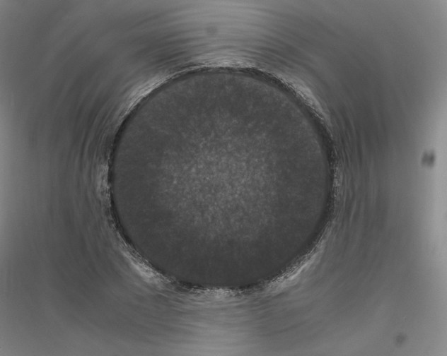 X0000116780881201001281119