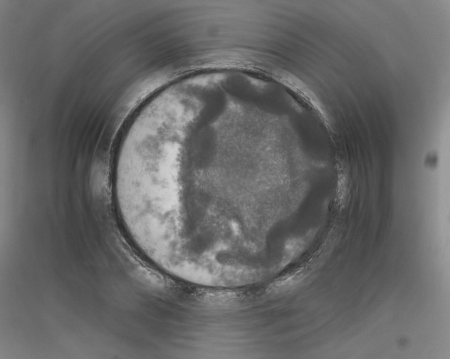 X0000116780882201001281119