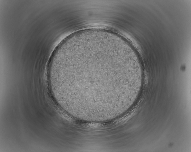 X0000116780883201001281119