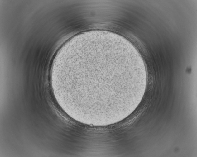 X0000116780884201001281119