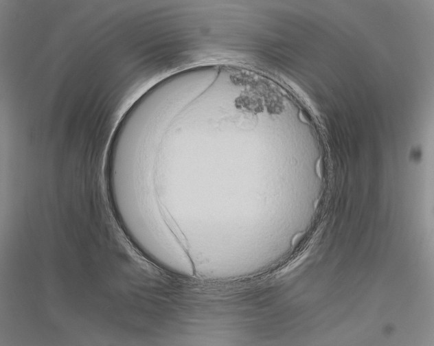 X0000116780885201001281119