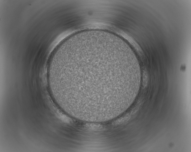 X0000116780886201001281119