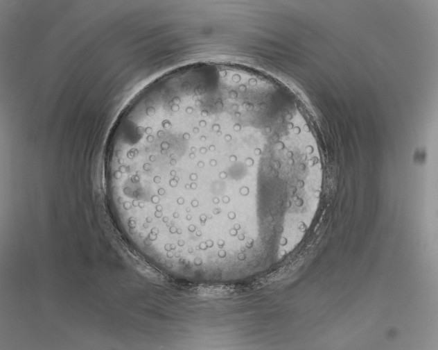 X0000116780887201001281119