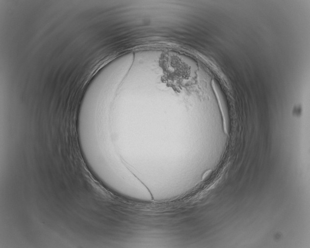 X0000116780889201001281119